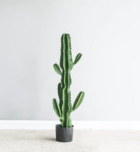 Load image into Gallery viewer, 105cm Artificial Cactus
