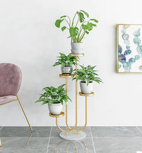 Load image into Gallery viewer, Botanic Elevate Plant Stand
