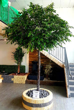 Load image into Gallery viewer, 3.5m Faux Giant Ficus
